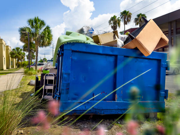 Yard Cleanup Services in Minneola, FL